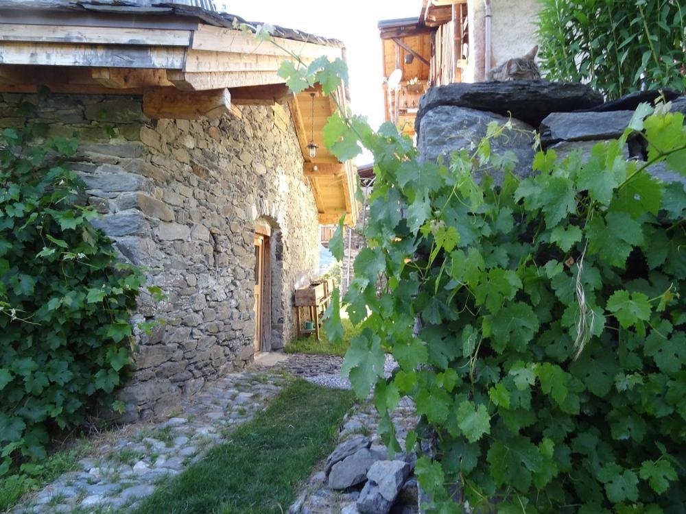 Bourg Saint Maurice Les Arcs - Maisonnette Grand Confort Dans Charmant Village De Montagne ! 外观 照片